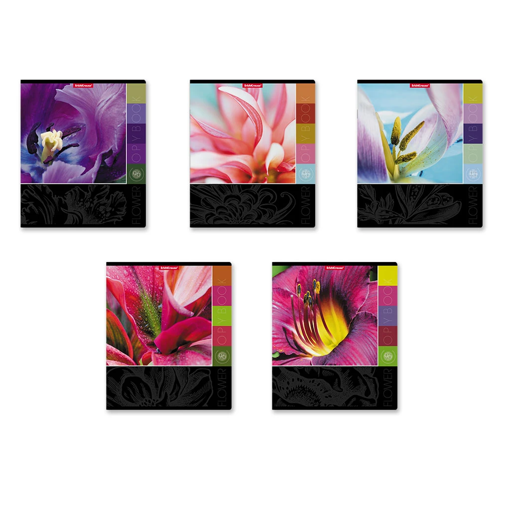 Тетрадь общая ученическая ErichKrause® Цветовая палитра, 96 листов, клетка, Тетрадь общая ученическая ErichKrause® Цветовая палитра, 96 листов, клетка,