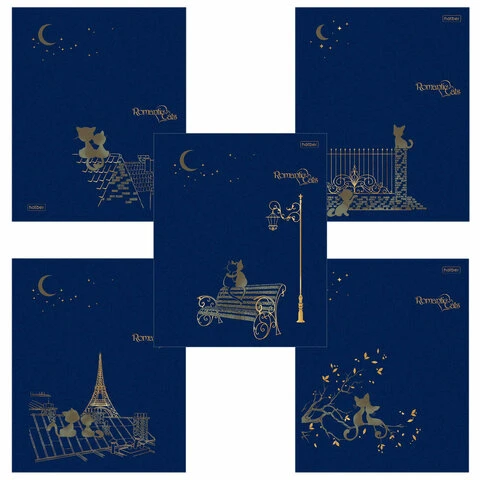 Тетрадь А5 48 листов HATBER скоба, клетка, матовая ламинация, 3D, Тетрадь А5 48 листов HATBER скоба, клетка, матовая ламинация, 3D,