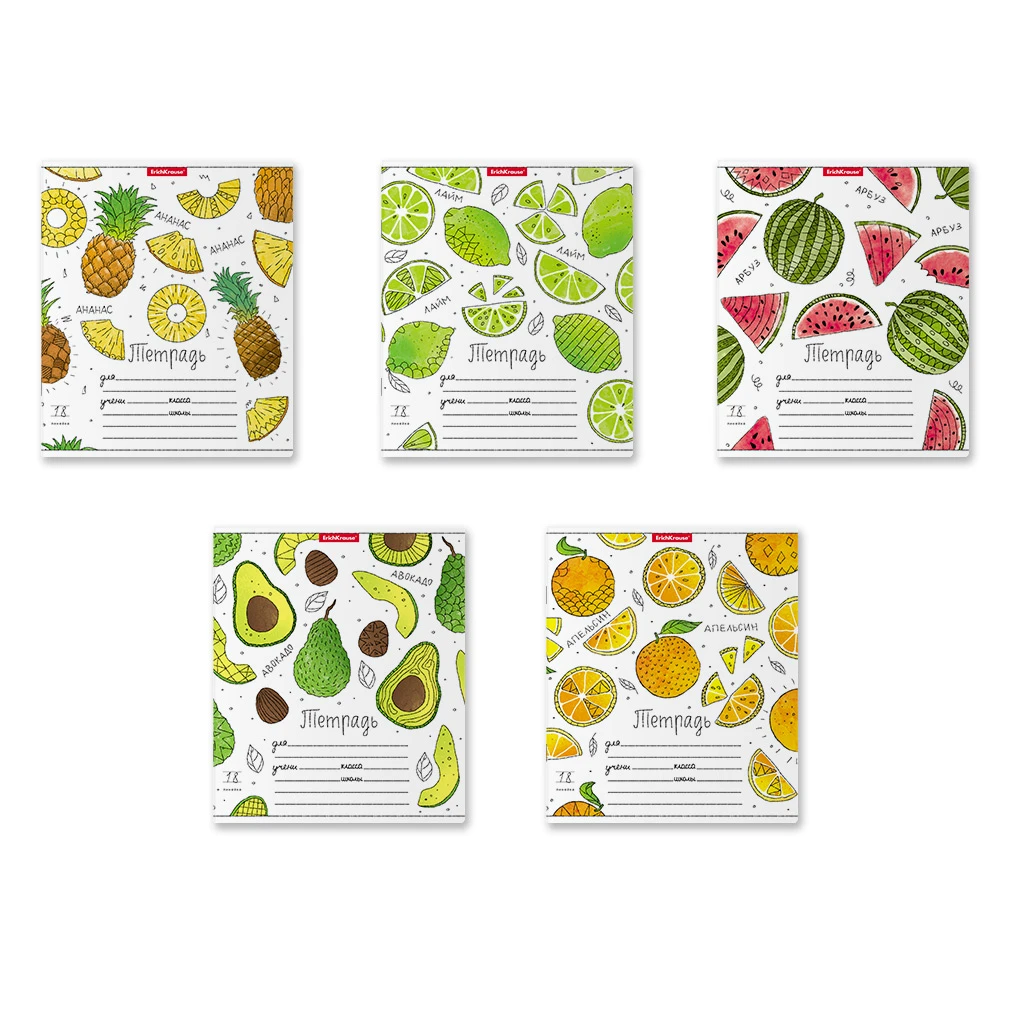 Тетрадь школьная ученическая ErichKrause® Яркие дольки, 18 листов, линейка (в Тетрадь школьная ученическая ErichKrause® Яркие дольки, 18 листов, линейка (в