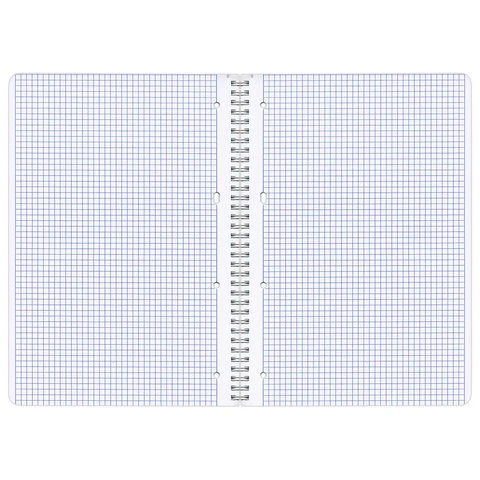 Тетрадь А4, 96 л., BRAUBERG, гребень, клетка, обложка картон, ИНДЕЙ, 400528 Тетрадь А4, 96 л., BRAUBERG, гребень, клетка, обложка картон, ИНДЕЙ, 400528