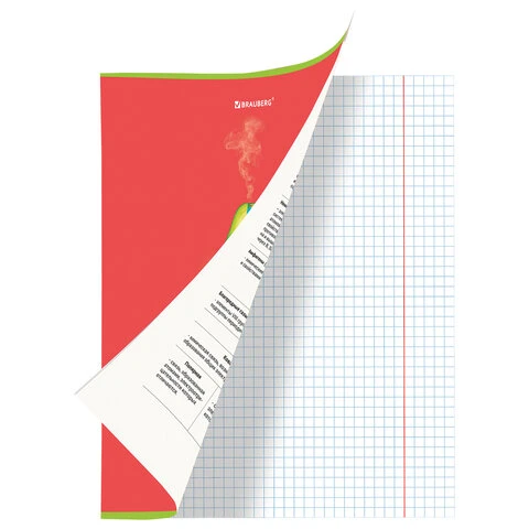 Тетрадь предметная "AVOCADO" 48 л., глянцевый лак, ХИМИЯ, клетка, Тетрадь предметная "AVOCADO" 48 л., глянцевый лак, ХИМИЯ, клетка,