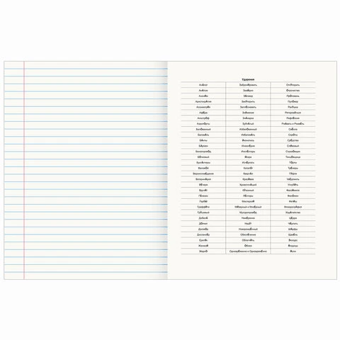 Тетрадь предметная "КЛАССИКА NEW" 48 л., обложка картон, РУССКИЙ ЯЗЫК,