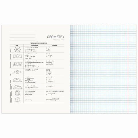 Тетрадь предметная "AVOCADO" 48 л., глянцевый лак, ГЕОМЕТРИЯ, клетка,