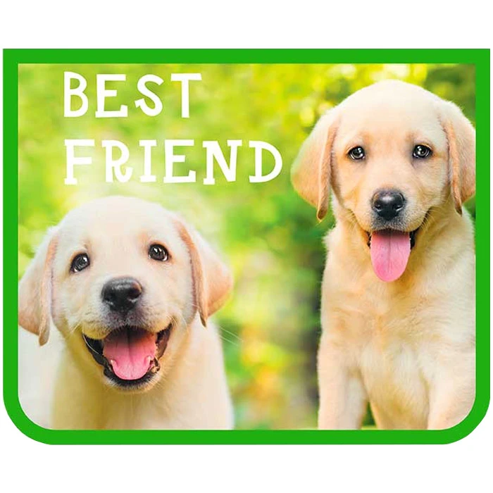 Папка для тетрадей А5 на молнии Best friends