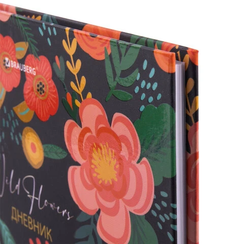 Дневник 5-11 класс 48 л., твердый, BRAUBERG, выборочный лак, с подсказом, Дневник 5-11 класс 48 л., твердый, BRAUBERG, выборочный лак, с подсказом,