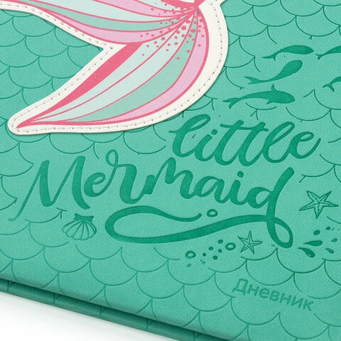 Дневник 1-11 класс 48 л., обложка кожзам (твердая), тиснение, аппликация,