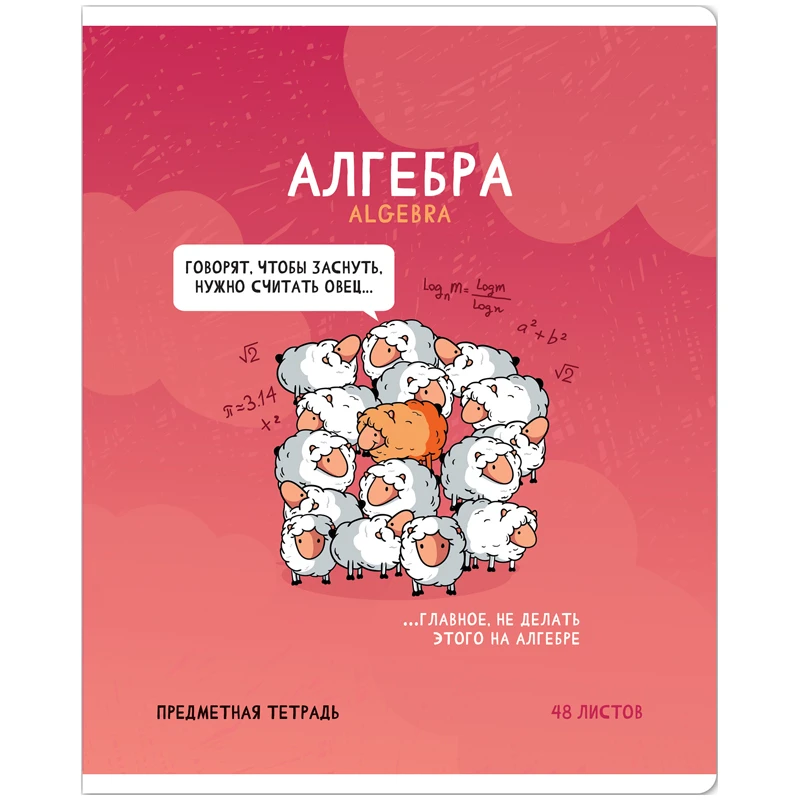 Тетрадь предметная 48л. ArtSpace "Не по правилам" - Алгебра, глянцевая