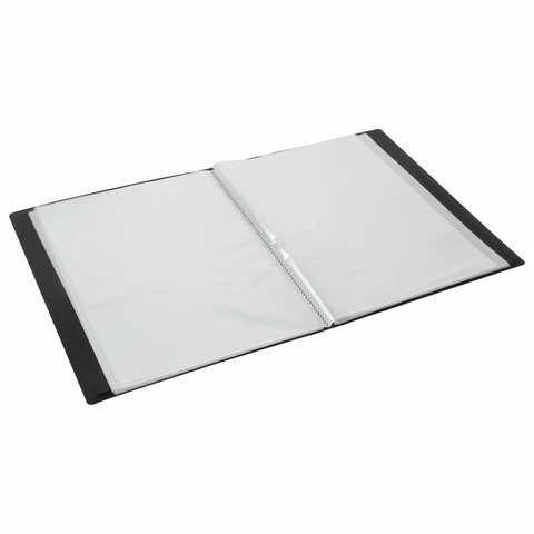 Папка 80 вкладышей BRAUBERG "Office", зеленая, 0,8 мм, 271333 Папка 80 вкладышей BRAUBERG "Office", зеленая, 0,8 мм, 271333