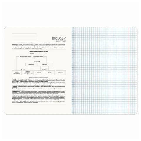 Тетрадь предметная "STARLIGHT" 48 л., глянцевый УФ-лак, БИОЛОГИЯ,