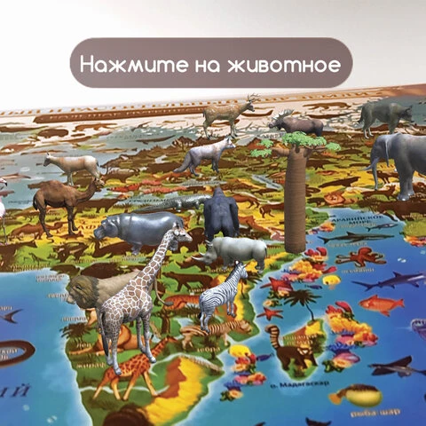 Карта мира "Животный и растительный мир" 101х69 см, интерактивная,