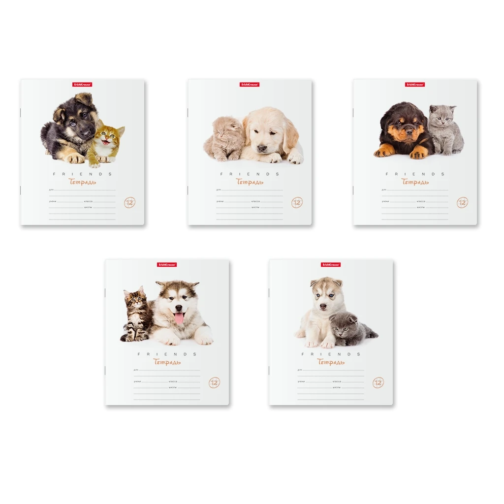 Тетрадь школьная ученическая ErichKrause® Дружба, 12 листов, клетка (в плёнке по