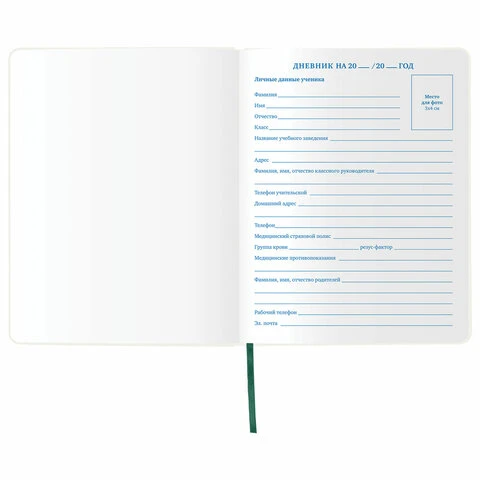 Дневник 1-11 класс 48 л., обложка кожзам (гибкая), печать, фольга, BRAUBERG,