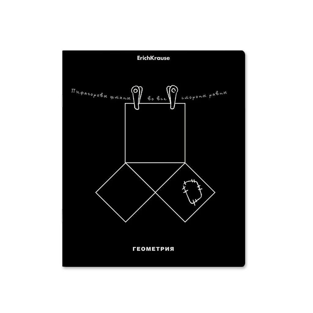 Тетрадь общая ученическая ErichKrause® Зри в корень, Геометрия, 48 листов,