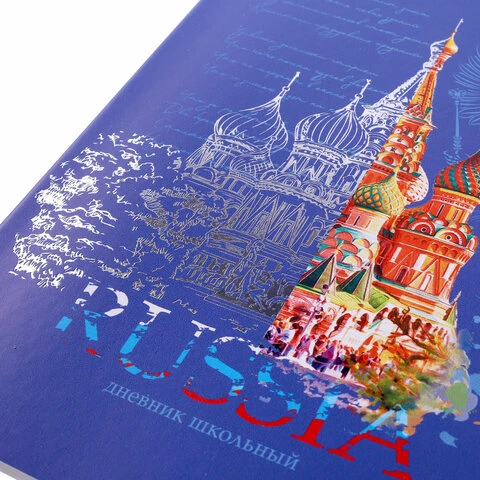 Дневник 1-11 класс 48 л., кожзам (гибкая), печать, фольга, BRAUBERG, Дневник 1-11 класс 48 л., кожзам (гибкая), печать, фольга, BRAUBERG,