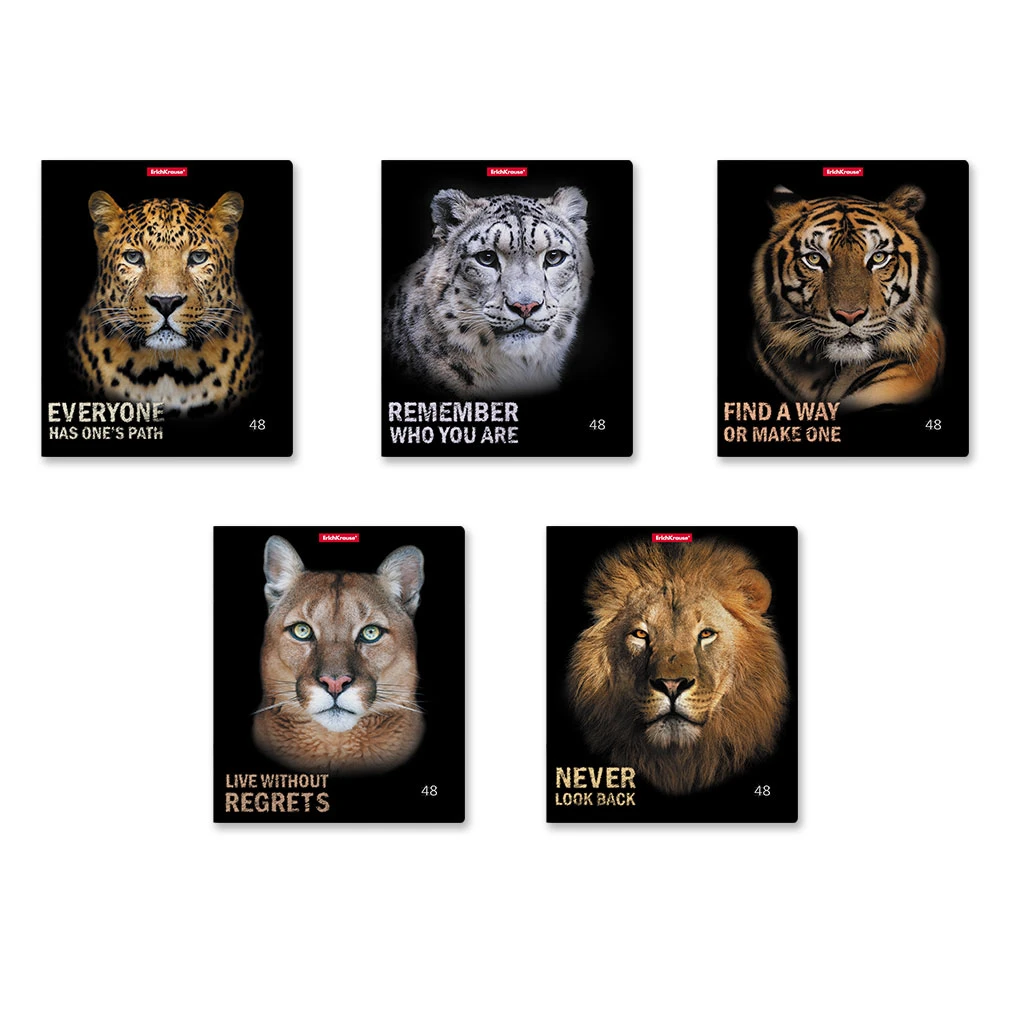 Тетрадь общая ученическая ErichKrause® Strong and Brave, 48 листов, клетка,