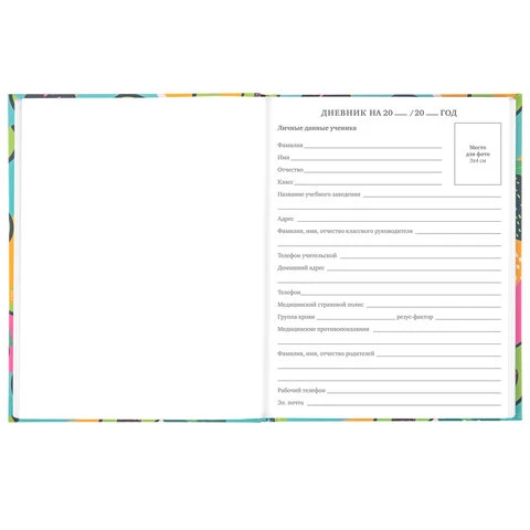 Дневник 5-11 класс 48 л., твердый, BRAUBERG, блестки, с подсказом,