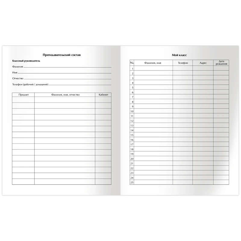 Дневник 1-11 кл. 48л. (твердый) BG "Моя энергия", матовая ламинация,
