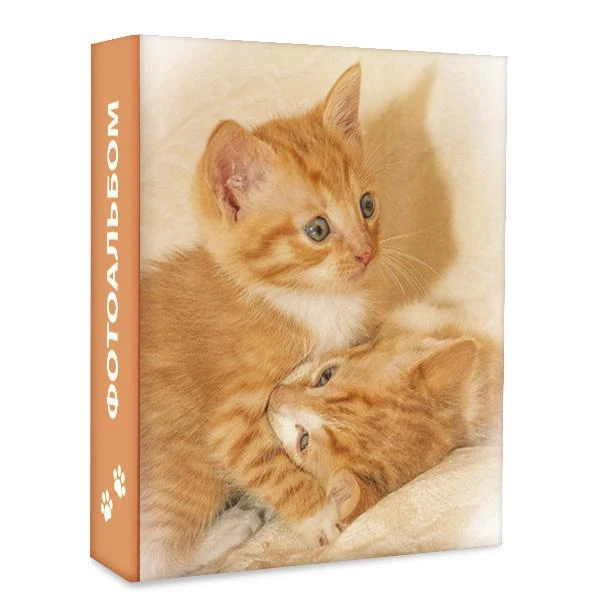 Фотоальбом 100ф 10X15см, ПП карм.