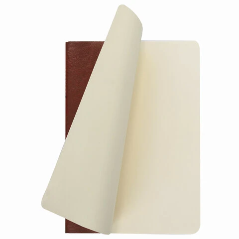 Тетрадь 48 л. в клетку обложка гладкий кожзам, сшивка, A5 (147х210мм),