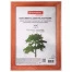 Рамка 15х20 см, дерево, багет 18 мм, BRAUBERG "Pinewood", красное