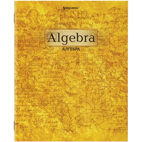 Тетради предметные, КОМПЛЕКТ 10 ПРЕДМЕТОВ, GOLD, 48 листов, металлизированный