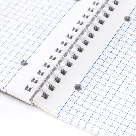 Тетрадь А4, 96 л., BRAUBERG, гребень, клетка, обложка картон, ИНДЕЙ, 400528 Тетрадь А4, 96 л., BRAUBERG, гребень, клетка, обложка картон, ИНДЕЙ, 400528