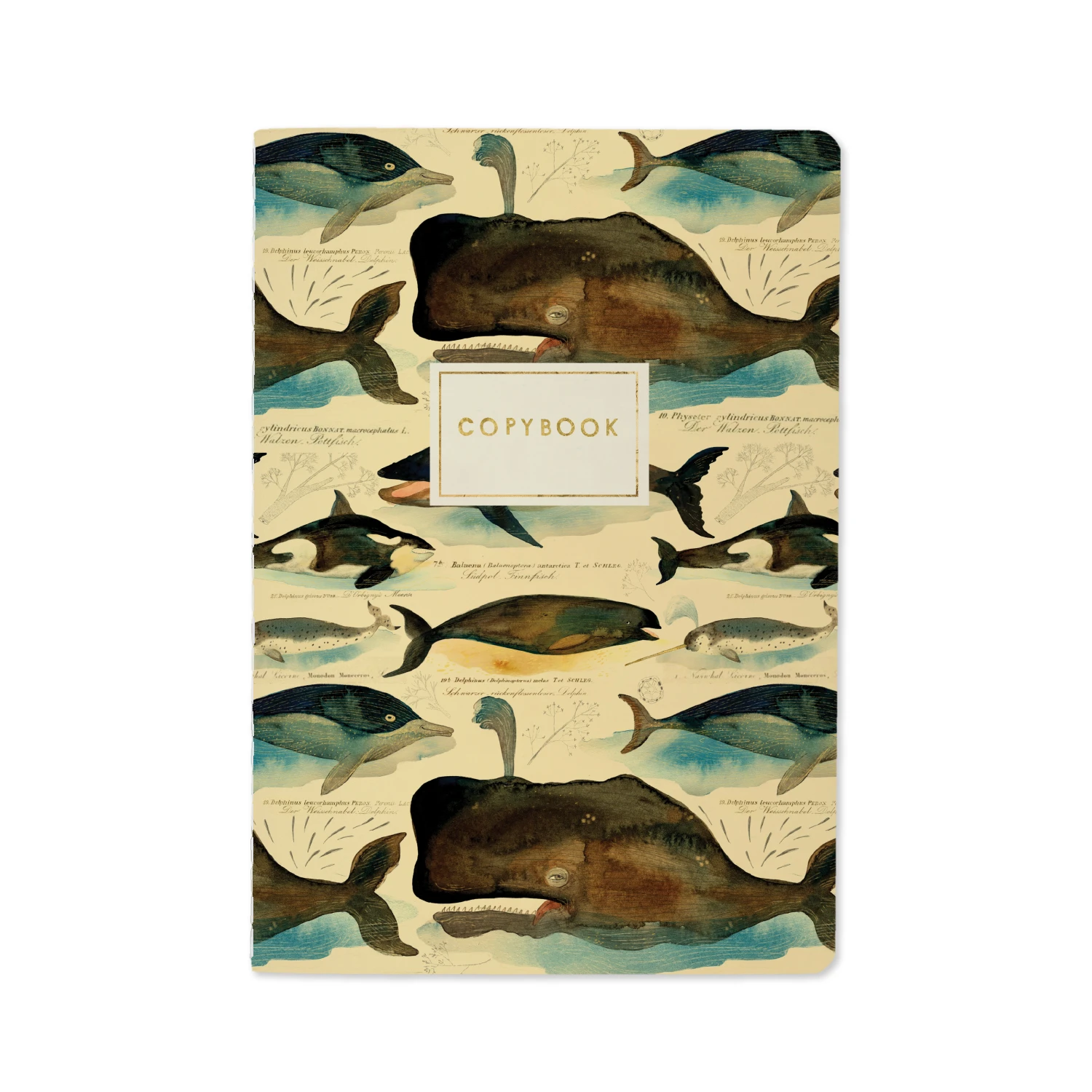 НАБОР ПОДАРОЧНЫЙ "КИТЫ" (ДВЕ ТЕТРАДИ BV И РУЧКА) НАБОР ПОДАРОЧНЫЙ "КИТЫ" (ДВЕ ТЕТРАДИ BV И РУЧКА)