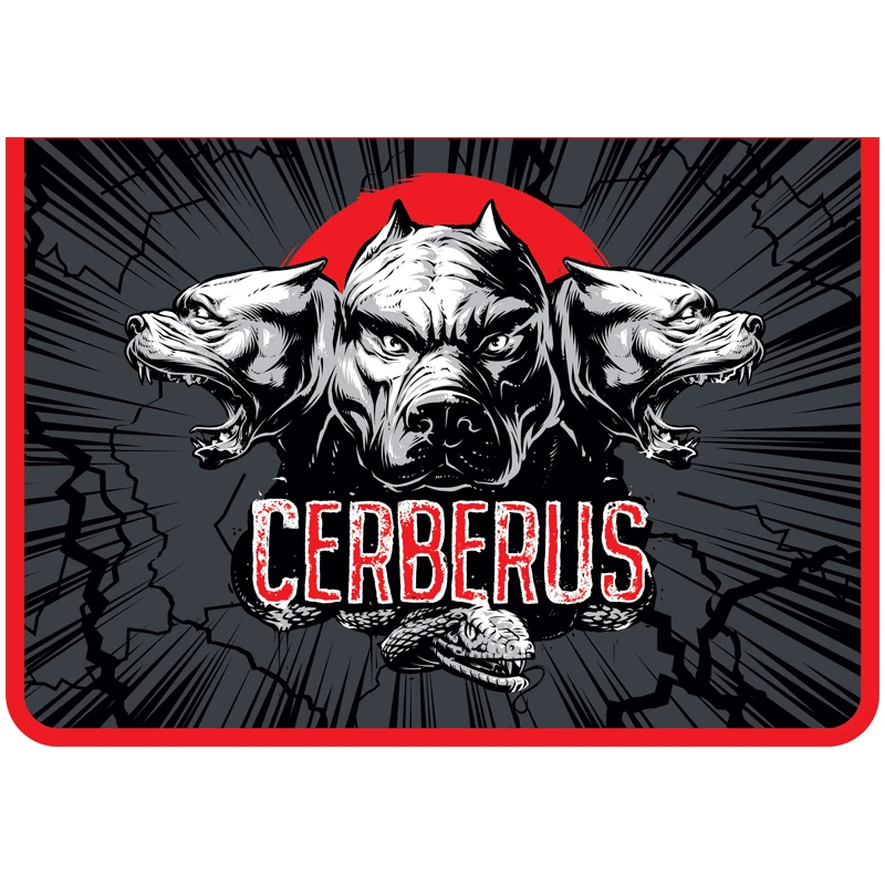 Папка для тетрадей 2 отделения А4 ArtSpace "Cerberus", пластик, на