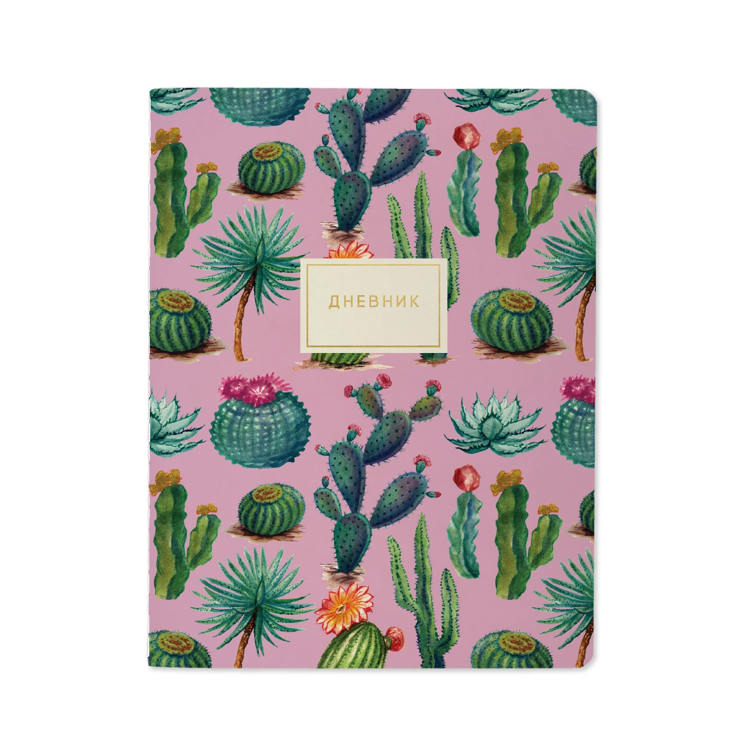 ДНЕВНИК "Солнечный кактус" (48 листов) ДНЕВНИК "Солнечный кактус" (48 листов)