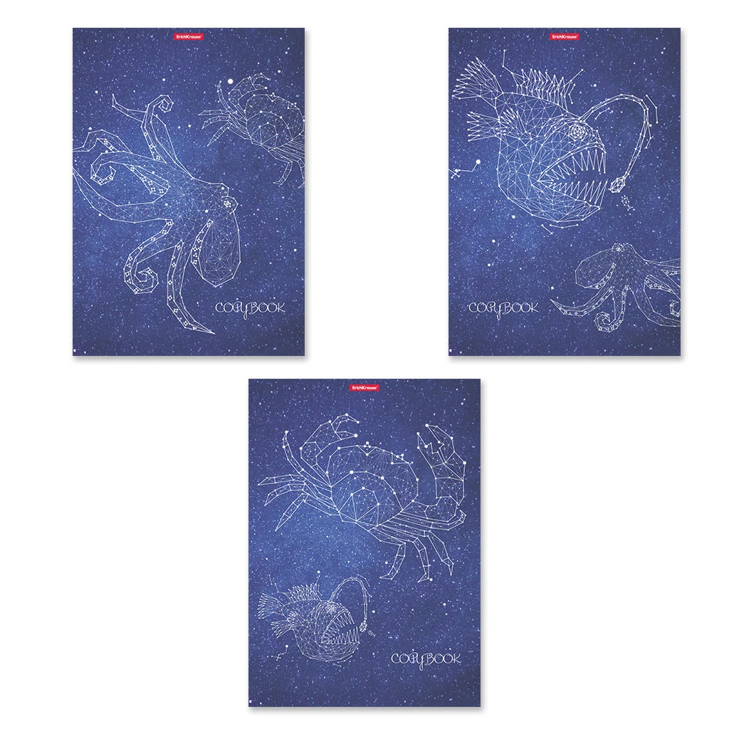 Тетрадь общая ученическая с пластиковой обложкой на скобе Erich Krause Galaxy, Тетрадь общая ученическая с пластиковой обложкой на скобе Erich Krause Galaxy,